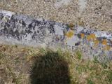 image of grave number 795990